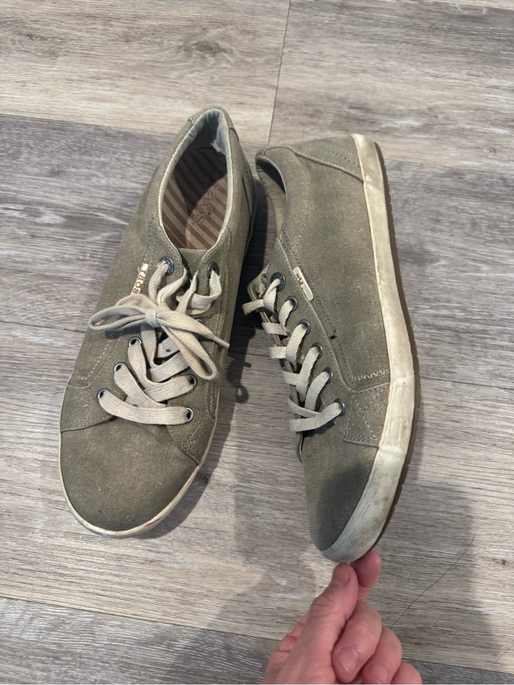 Taos Star Canvas Sneakers in a grey wash colorway, w/ low-top silhouette